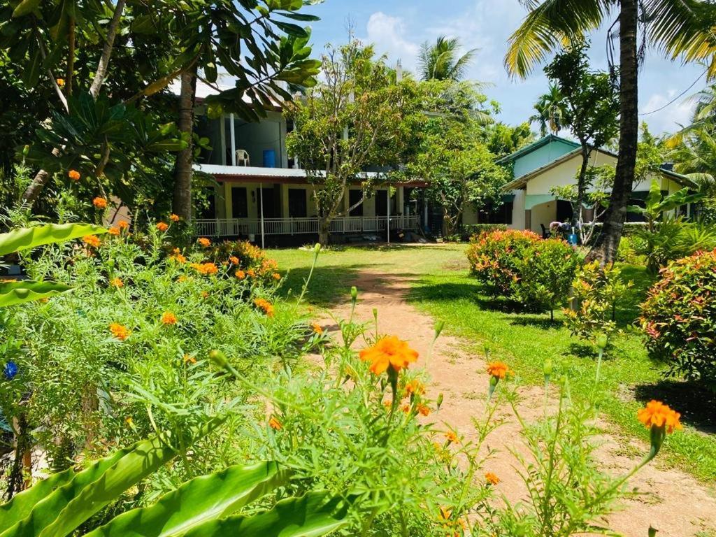Coconut Grove - Midigama Hotel Exterior foto