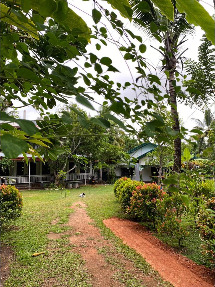 Coconut Grove - Midigama Hotel Exterior foto
