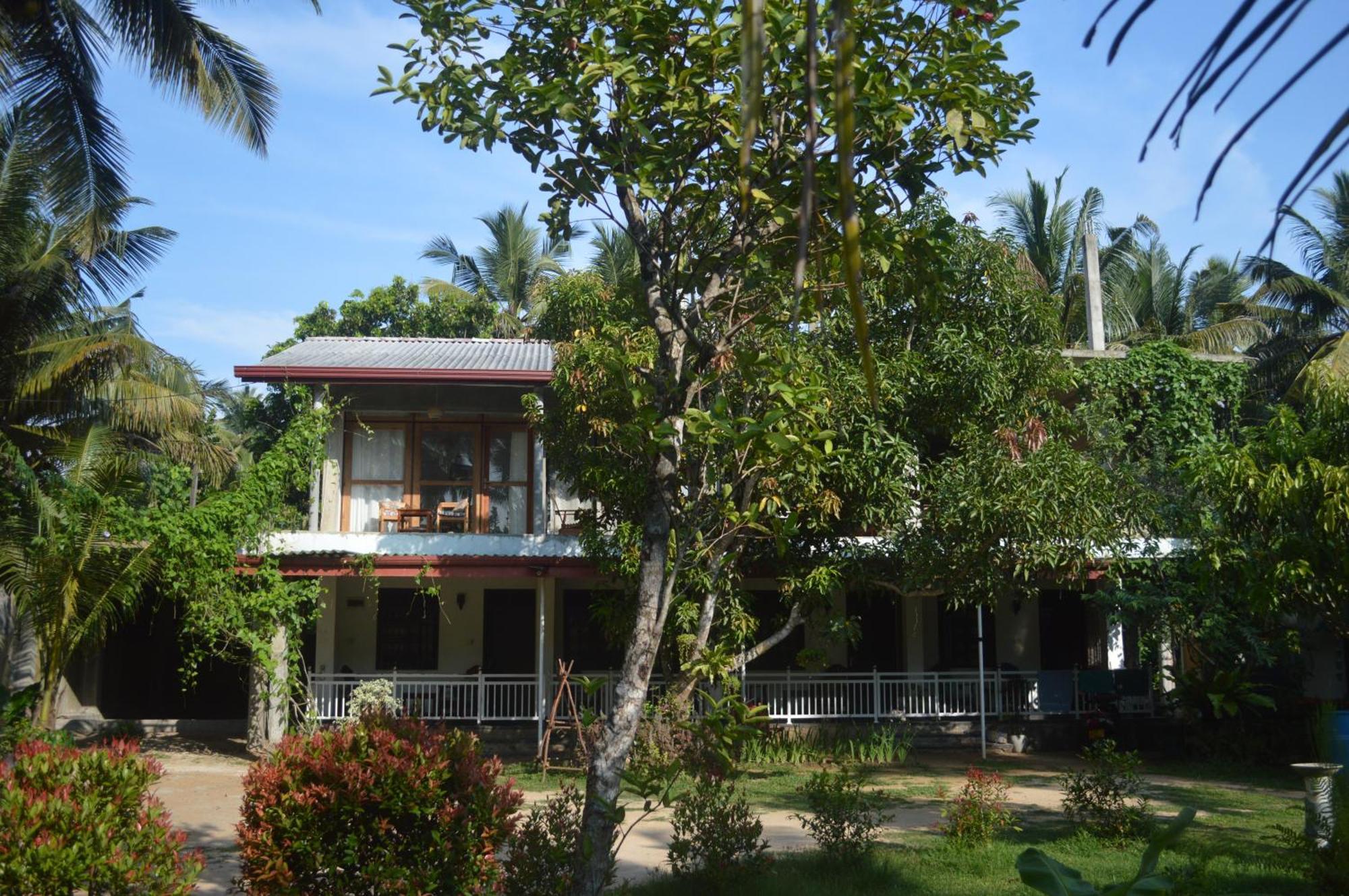 Coconut Grove - Midigama Hotel Exterior foto