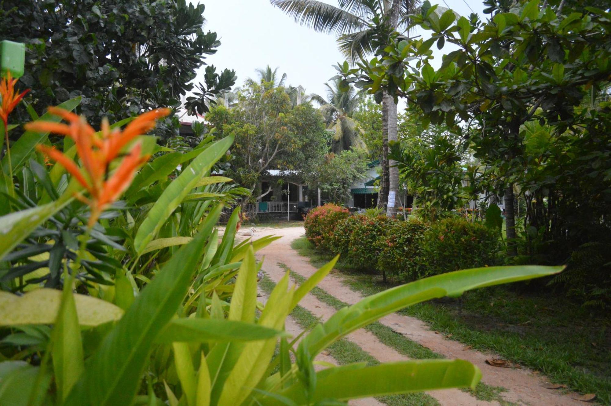 Coconut Grove - Midigama Hotel Exterior foto