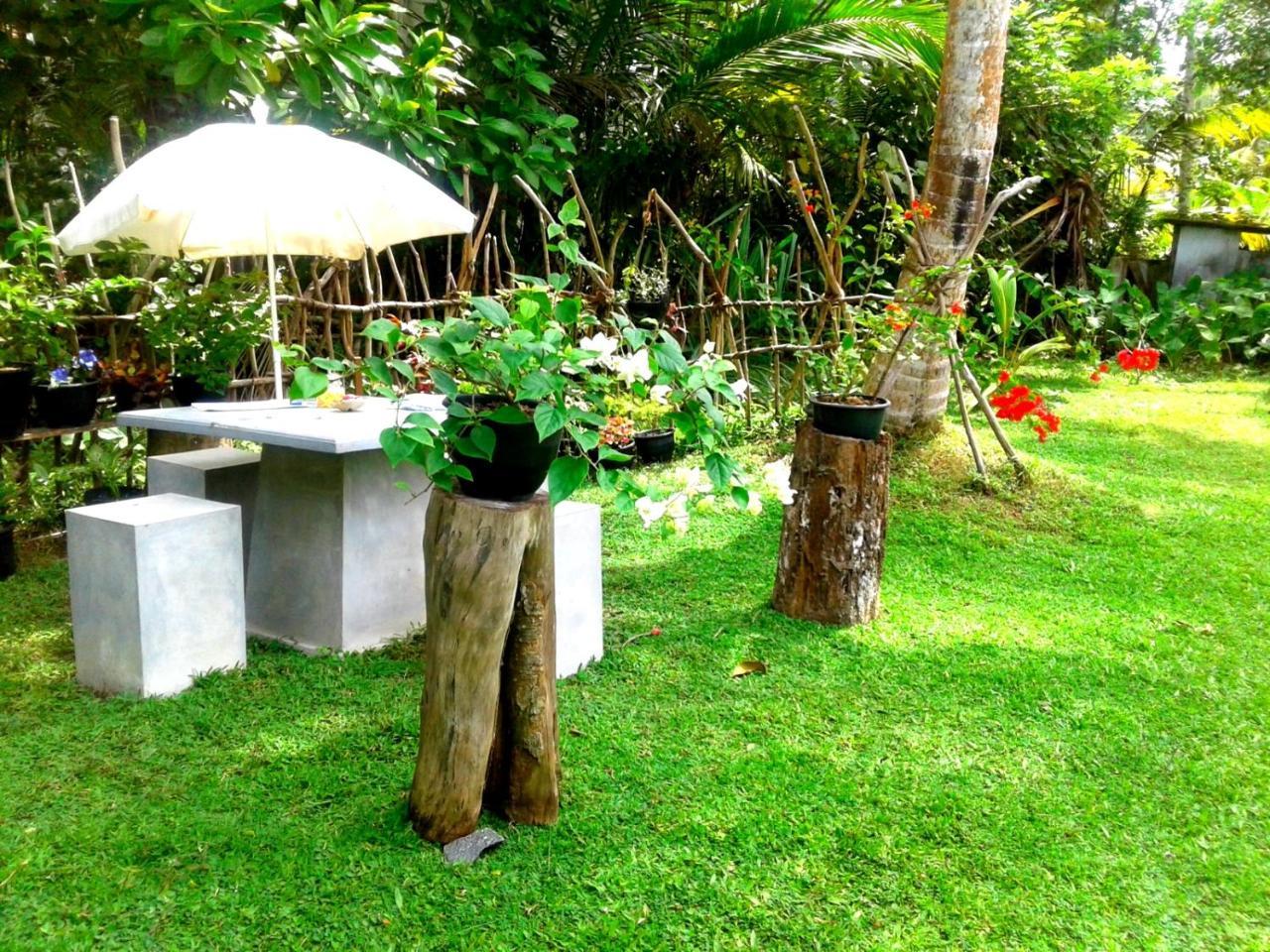 Coconut Grove - Midigama Hotel Exterior foto