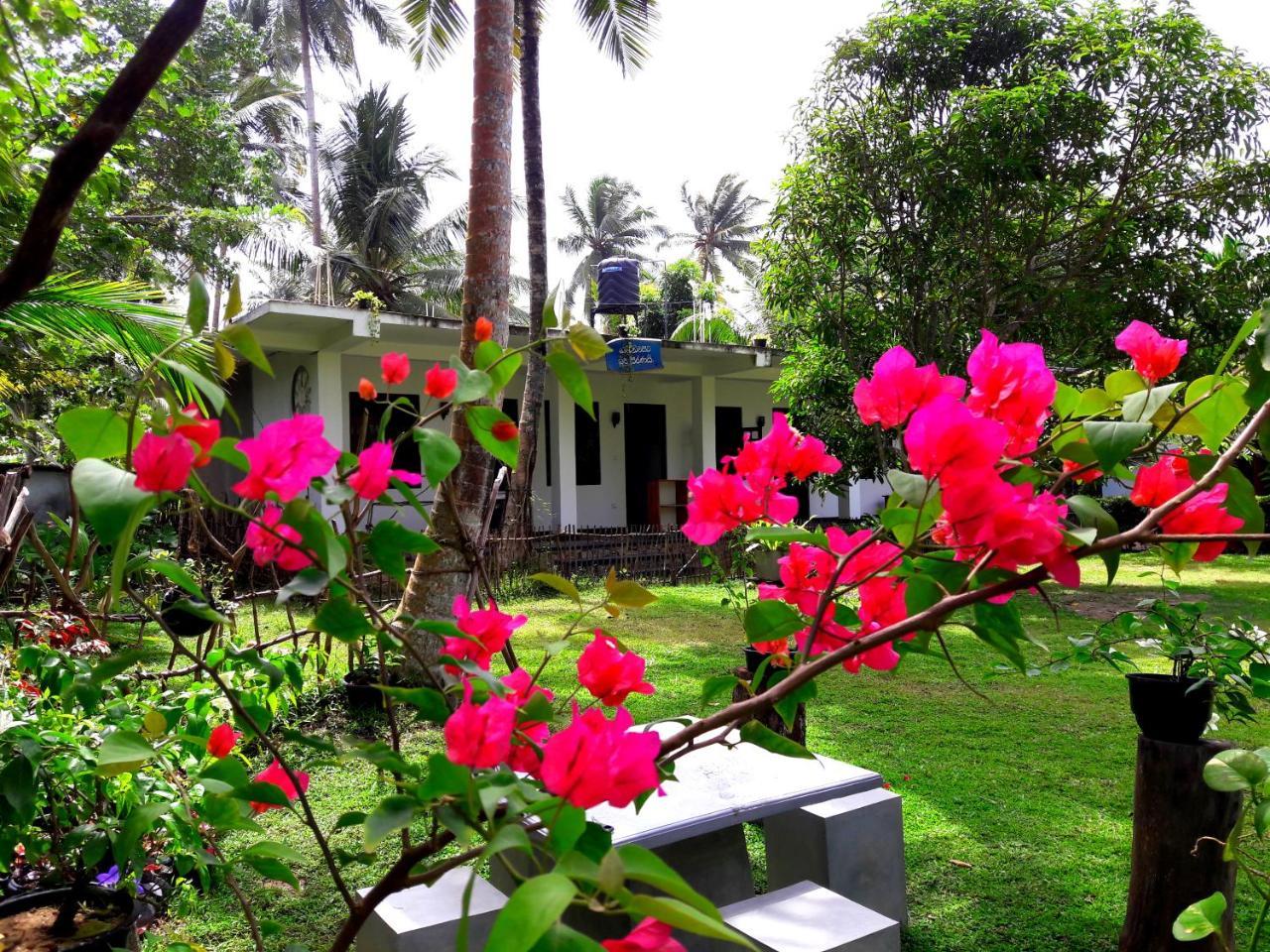 Coconut Grove - Midigama Hotel Exterior foto